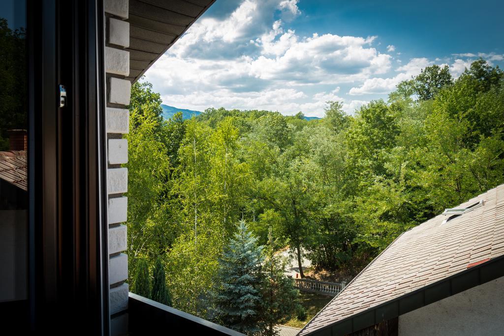 Hotel Danica Врнячка-Баня Номер фото